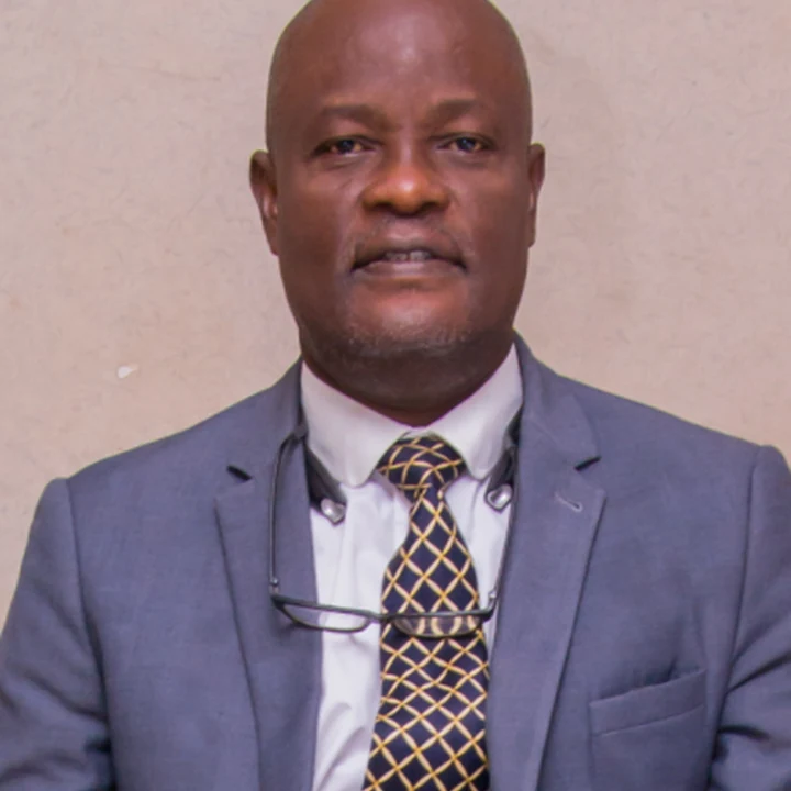 Professor Akinsanya Babatunde, PhD